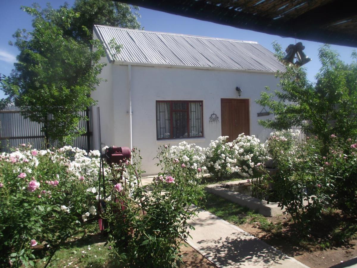 Lavender Rose Bed & Breakfast Bethulie Exterior photo