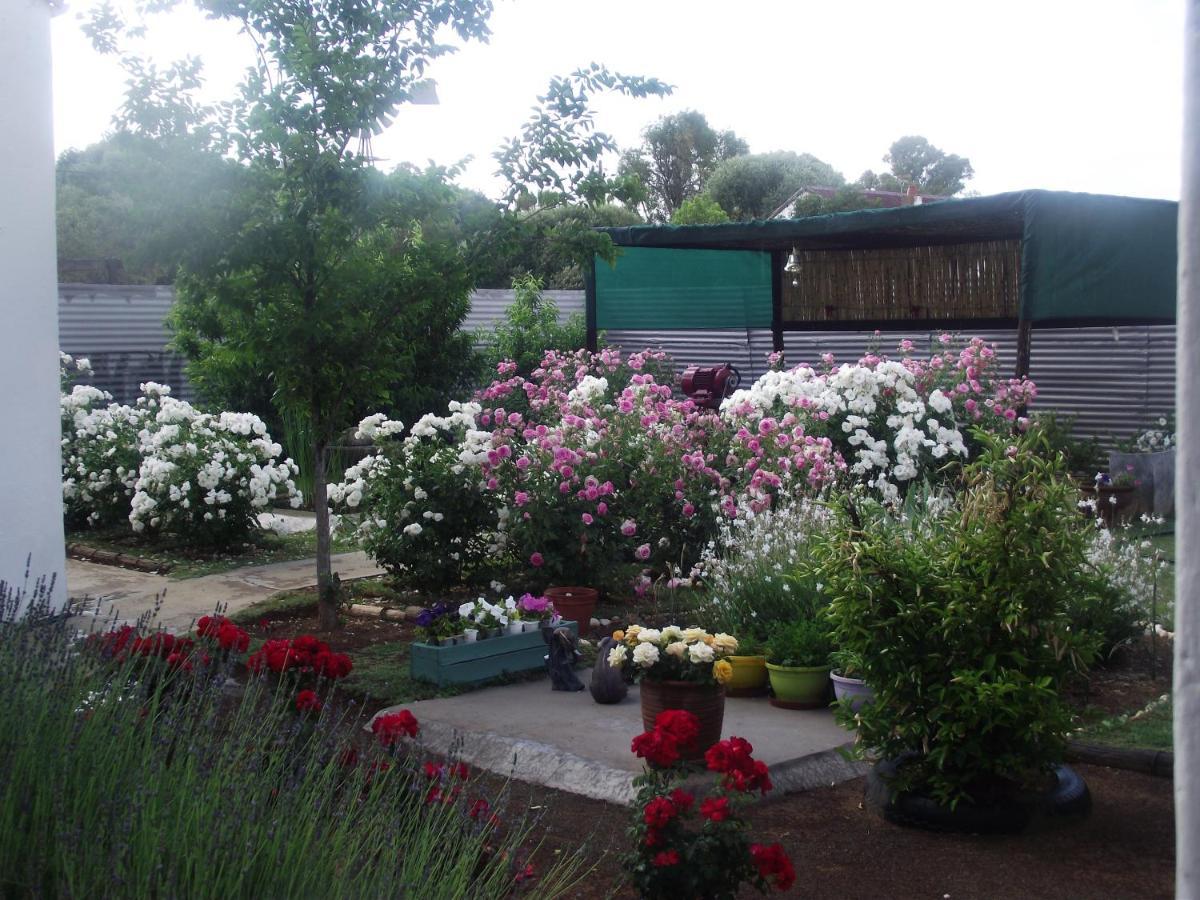 Lavender Rose Bed & Breakfast Bethulie Exterior photo